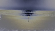 Richard Misrach: Being(s) 1975–2015