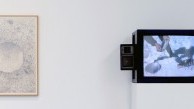 Equilibrium: A Paul Kos Survey