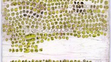 Ellen Gallagher: Accidental Records at Hauser & Wirth