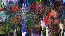 Richard-Jonathan Nelson: A Pallet of Blackberry and Feverfew at CUBE SPACE