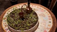 Manufactured Organic: Exploring the Environmental Implications of Art