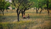 Idyll