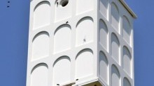 Health of the Hive
