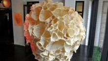 Flash: New Works by Mary Button Durell