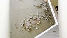 Geometria Concretus