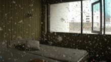 Apichatpong Weerasethakul / Matrix 247