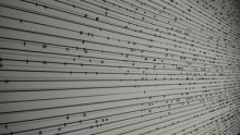 Zero1 Biennial: Seeking Silicon Valley