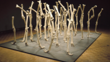 Variability of Similar Forms