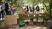 In Case You Missed It: OPENeducation