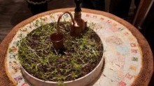 Manufactured Organic: Exploring the Environmental Implications of Art
