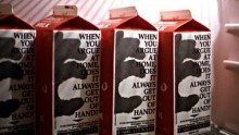 In Defense of Food: Recent Explorations in Contemporary Art