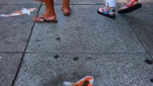 Koi