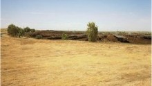 In Case You Missed It: Land Use